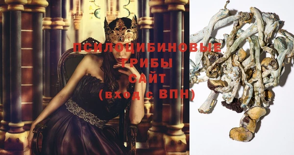 ешки Алзамай
