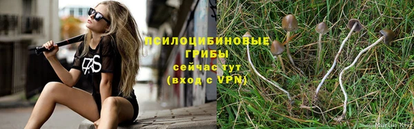 ешки Алзамай