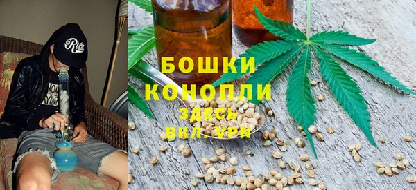 ешки Алзамай