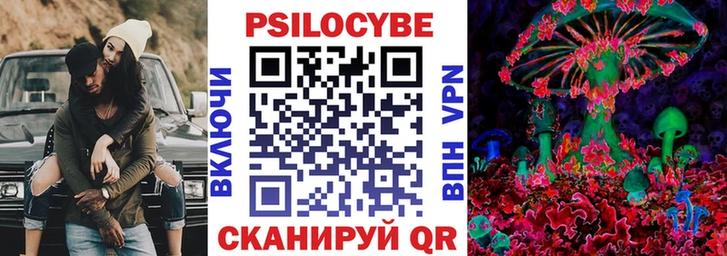mega ТОР  Пушкино  Галлюциногенные грибы Psilocybine cubensis 